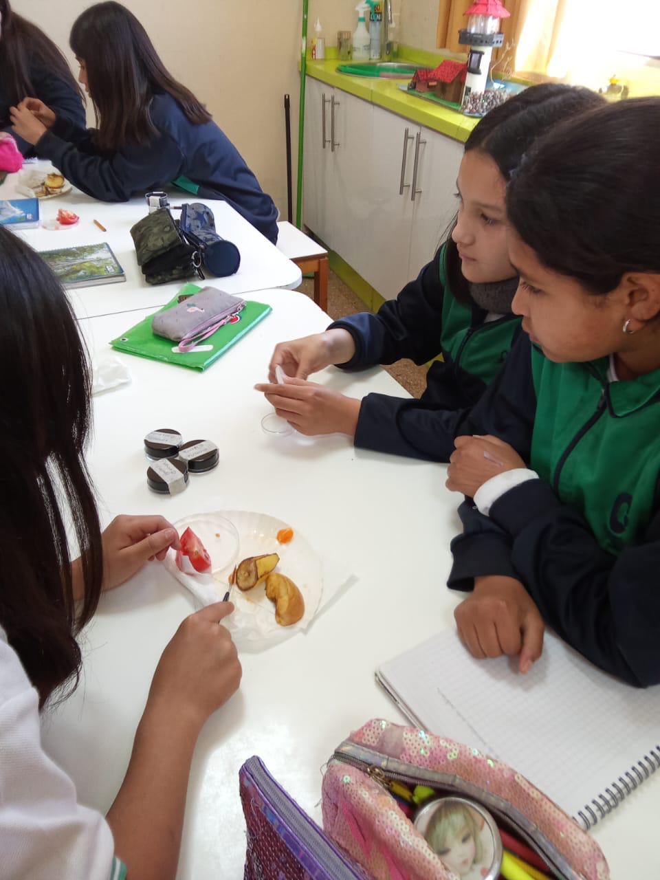 Laboratorio de Ciencias